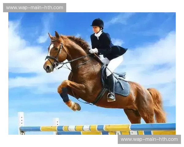 铁拳的艺术与不屈的意志：当“大卫王”海耶遇上“沉默者”鲁伊兹